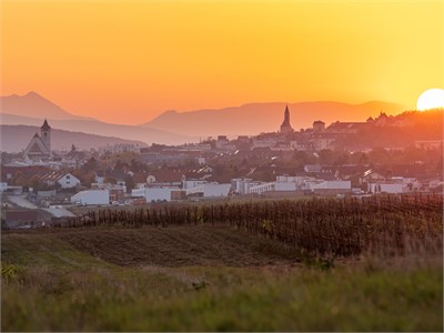 Incentives und Rahmenprogramme im Burgenland